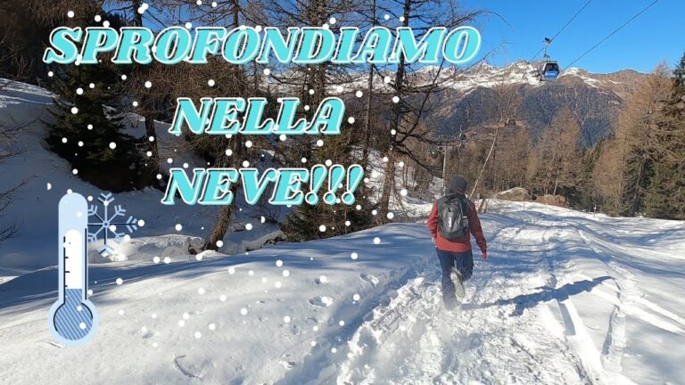 Effetti straordinari: Scopri la montagna in inverno senza sciare!