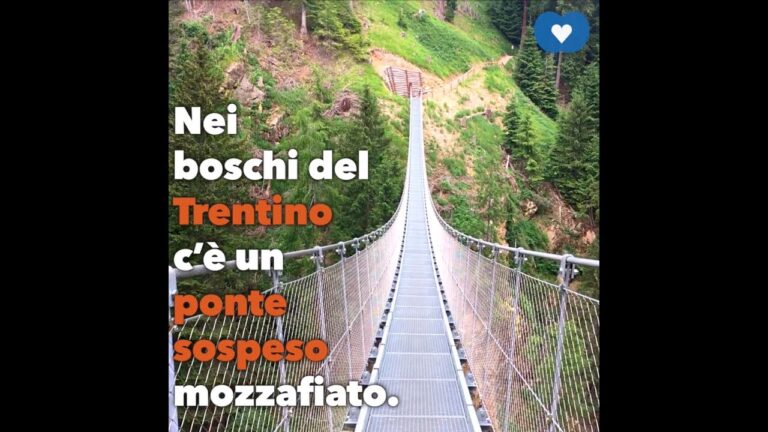 Impressionanti ponti tibetani in Trentino: un&#8217;avventura mozzafiato tra montagne