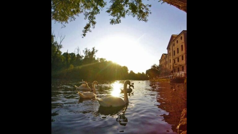 La magia del Sile: il fiume che incanta Treviso
